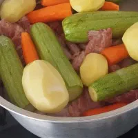 غذای خونگی سگ وگربه
