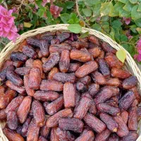 رطب خرما خاصویی پیارم هلیله خاسیو شاهانی زاهدی قصب