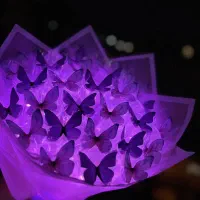 کادویی دسته پروانه تولد روز دختر هدیه پارتنر دیت