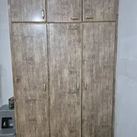 معین زاده،همکف،نرگس