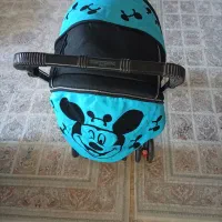 کالسکه دلیجان