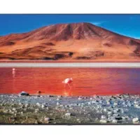 فروش تلوزیون سامسونگ 55 و 49 اینچ