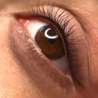 آموزش آرایش دائم صورت فیبروز شیدینگ لب خط چشم|خدمات زیبایی و سلامت|تهران, زعفرانیه|دیوار