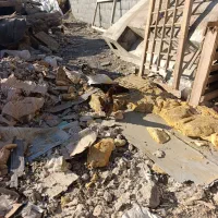 مرغ و خروس مینیاتوری|حیوانات مزرعه|مشکین‌دشت, |دیوار