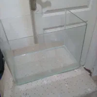 آکواریوم