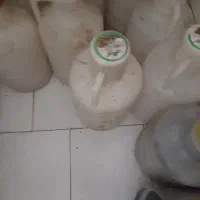 دبه خیارشور