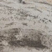 نصب و سفارش پرده موکت کاغذ دیواری چمن مصنوعی|خدمات پیشه و مهارت|چالوس, |دیوار
