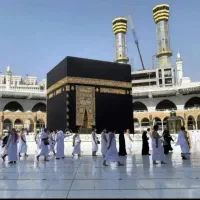 فیش عمره مفرده