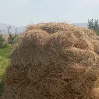 یونجه با بسته بندی بزرگ