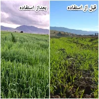 کودهای تقویتی کشاورزی برند چندملیتی XGREEN