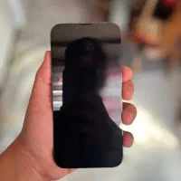 13 pro max