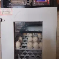دستگاه جوجه کشی هدایت