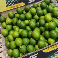 لیمو ترش حراجی ابگیری صلواتی