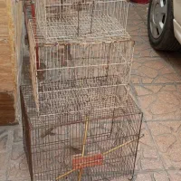 قفس پرنده