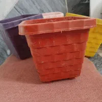 گلدان پلاستیکی|گل و گیاه طبیعی|قم, شاه ابراهیم|دیوار