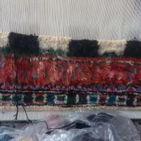 دارقالی وفرش|فرش|اردبیل, |دیوار