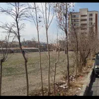 3200 متر رمین|فروش زمین و ملک کلنگی|تهران, سازمان برنامه جنوبی|دیوار