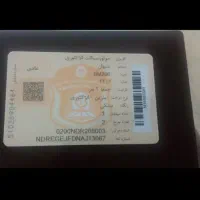 موتور سیکلت سیوان 200