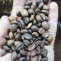 قهوه تازه رست بدون سنگ مناسب دکه و مارکت