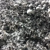 کود کمپوست قارچ رایگان