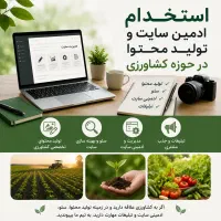 ادمین سایت براتولید محتوا وسئو (خانم)