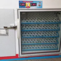 دستگاه جوجه کشی 420 تایی کاکل پری در حد