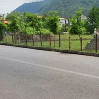 زمین-رامسر-395-متر-سفید-تمشک-تله-کابین