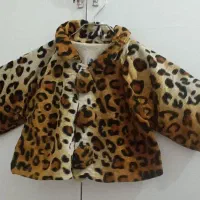 پالتو بچگانه