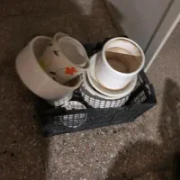 گلدان|گل و گیاه طبیعی|مشهد, کوثر|دیوار