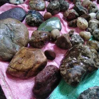 فروش تعدادی سنگ تزئینی|جواهرات|لاهیجان, انقلاب|دیوار