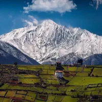 یک مورد طلا پیدا شده