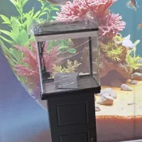 آکواریوم شرکتی|ماهی|اندیشه, اندیشه فاز ۱|دیوار