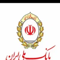 نیازمند ضامن وام