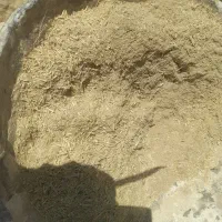 سبوس درجه ۳ .خرده گندم .میش بز