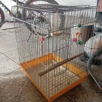 قفس پرنده|لوازم جانبی حیوانات|ری, علایین|دیوار