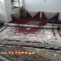 فرش ماشینی|فرش|زاهدان, |دیوار