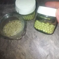 حلزون