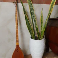دوچرخه دنده ای دینو چای ساز مینی واش سه تار|دوچرخه، اسکیت، اسکوتر|مشهد, قائم|دیوار