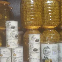 فروش بی واسطه انواع زیتون انواع ترشی و ترشک و..|عمده‌فروشی|تهران, گمرک|دیوار