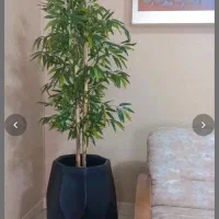 برگ بامبو بسته ۳۶ عددی و درختچه|گل مصنوعی|کرج, گلشهر|دیوار