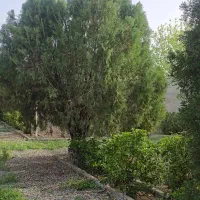 350-متر-باغ-میوه-سهمیه-آب-کشاورزی-سهیلیه