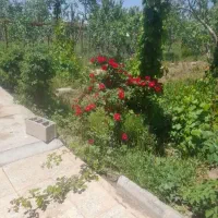 بهترین موقعیت سرمایه‌گذاری