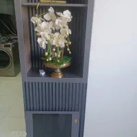 گل ارکیده لمسی