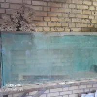 اکواریوم بزرگ 10 میل|ماهی|شادگان, |دیوار