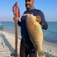 نیزه شیاری و شارکی غواصی