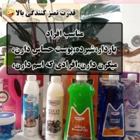 دیجیتال|لوازم نظافت|سنندج, |دیوار