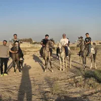 باشگاه سوارکاری رخش