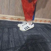 کفش|کیف، کفش، کمربند|بیرجند, |دیوار