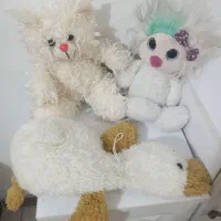 عروسک های پولیشی