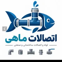 مدیر فروش و کمک حسابدار
